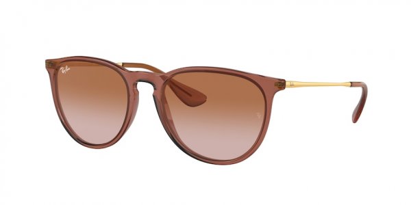   Ray-Ban Erika RB4171-6590-13 Transparent Light Brown / Arista | Gradient Light Brown