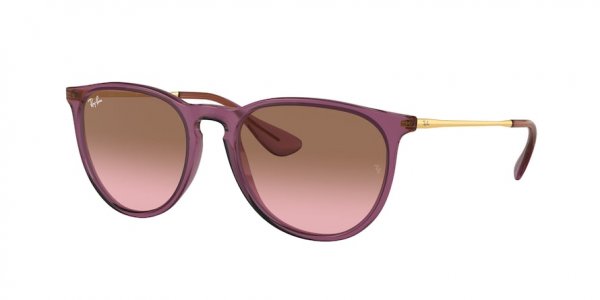   Ray-Ban Erika RB4171-6591-14 Transparent Violet / Arista | Gradient Light Violet
