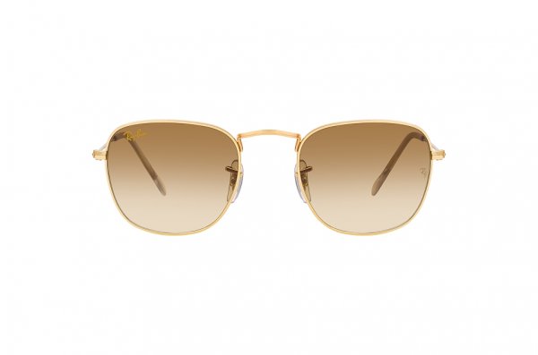  Ray-Ban Frank RB3857-9196-51 Arista | Light Brown Gradient 