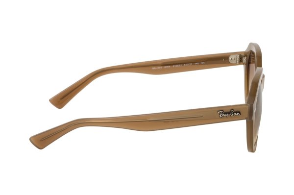   Ray-Ban Gina RB4399-6166-51 Transparent Brown | Light Brown Gradient