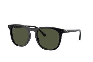 RB2210-901-31 ������� Ray-Ban