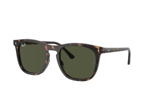 RB2210-902-31 ���� Ray-Ban