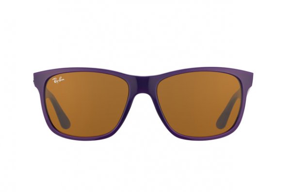   Ray-Ban Highstreet RB4181-6034 Violet  |  Brown (B-15XLT)