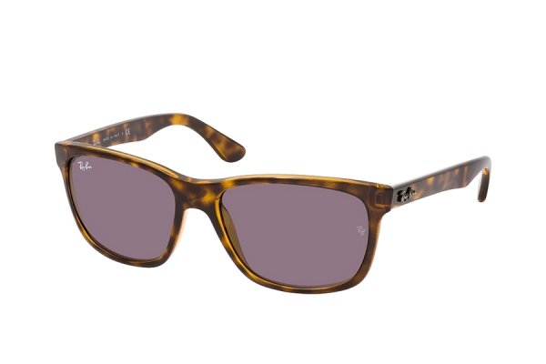  Ray-Ban Highstreet RB4181-710-7N Shiny Havana | Violet