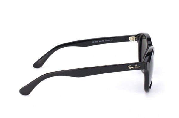   Ray-Ban Highstreet RB4203-601-58 Black | Natural Green Polarized