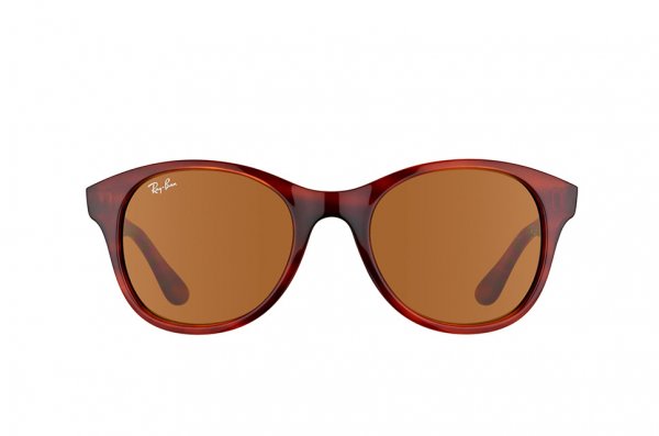  Ray-Ban Highstreet RB4203-820-73 Striped Havana | Brown 