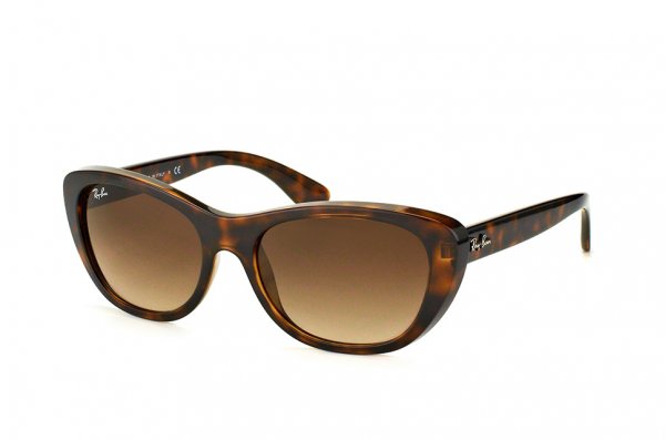   Ray-Ban Highstreet RB4227-710-13 Havana | Brown Gradient