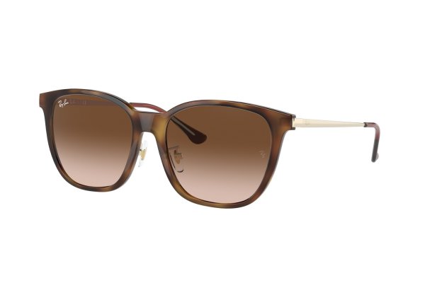   Ray-Ban Highstreet RB4333D-710-13 Havana | Brown Gradient