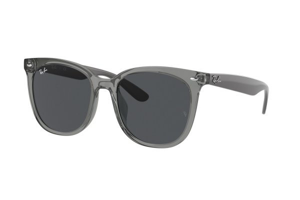   Ray-Ban Highstreet RB4379D-6599-87 Transparent Grey | Dark Grey