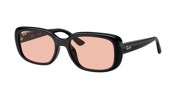   Ray-Ban Highstreet RB4421D-6677-84 Black | Dark Pink
