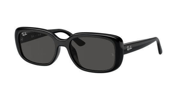   Ray-Ban Highstreet RB4421D-6677-87 Black | Dark Grey