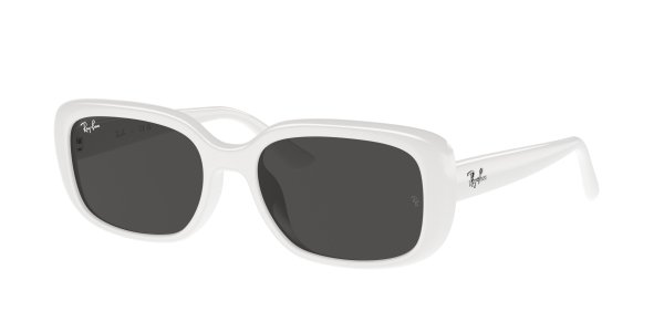   Ray-Ban Highstreet RB4421D-6772-87 White | Dark Grey
