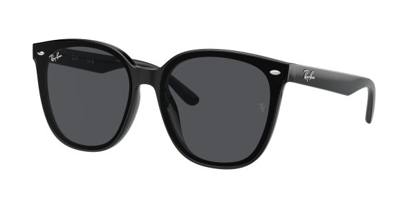   Ray-Ban Highstreet RB4423D-601-87 Black | Dark Grey