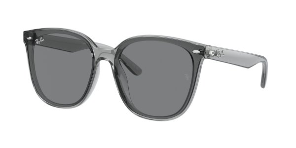   Ray-Ban Highstreet RB4423D-6450-87 Transparent Grey  | Dark Grey