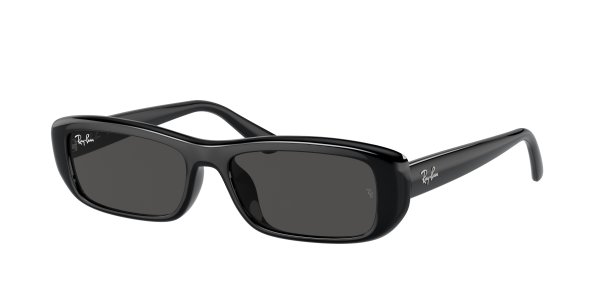   Ray-Ban Highstreet RB4436D-6677-87 Black | Dark Grey