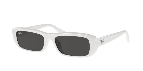   Ray-Ban Highstreet RB4436D-6772-87 White | Dark Grey