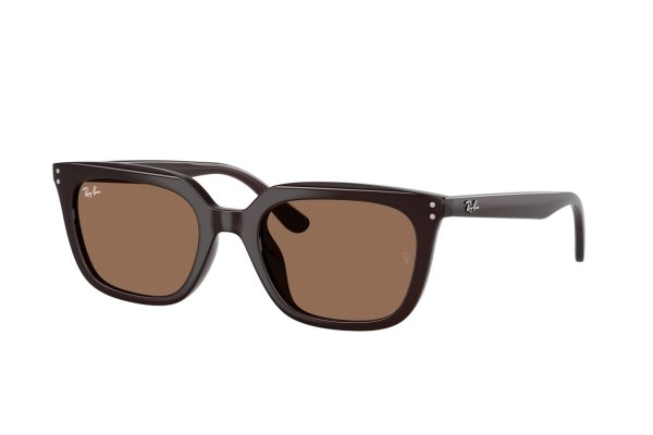   Ray-Ban Highstreet RB4439D-6231-73 Black | Dark Brown