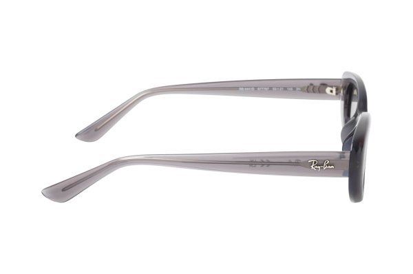 ������������ ������� Ray-Ban Highstreet RB4441D-6777-87 Transparent Grey | Dark Grey