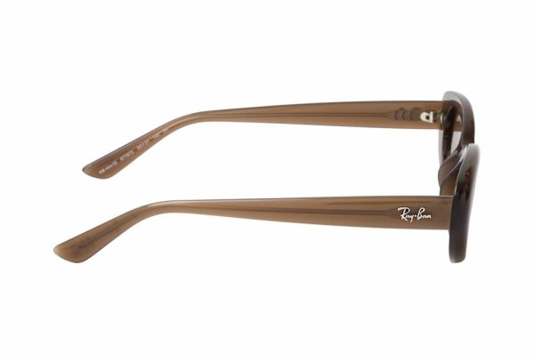   Ray-Ban Highstreet RB4441D-6779-73 Transparent Dark Brown | Dark Brown