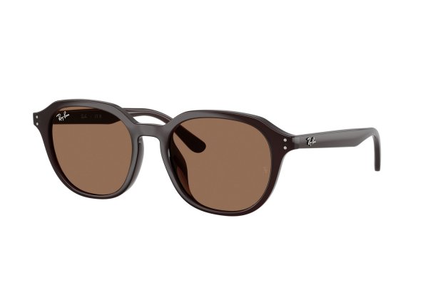   Ray-Ban Highstreet RB4459D-6231-73 Dark Brown | Natural Brown