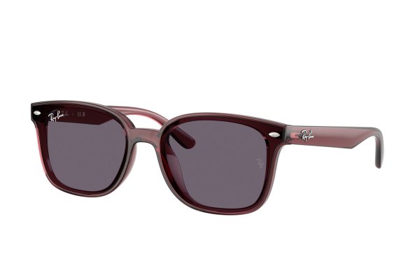   Ray-Ban Highstreet RB4461D-6593-73 Transparent Red | Dark Grey