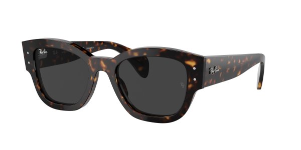   Ray-Ban Jorge RB7681S-902-48 Havana | Black Polarized