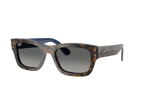 RB7683S 1401/71 Ray-Ban Joseph
