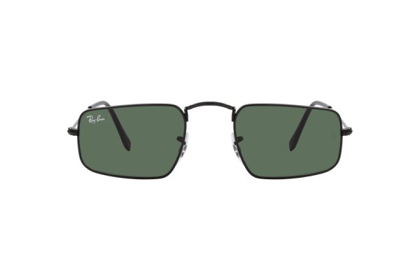   Ray-Ban Julie RB3957-002-31 Black | Natural Green