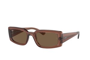RB4395-6678-73 ������� Ray-Ban