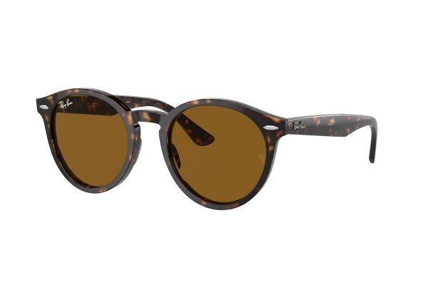   Ray-Ban Larry RB7680S-902-33 Havana | Natural Brown