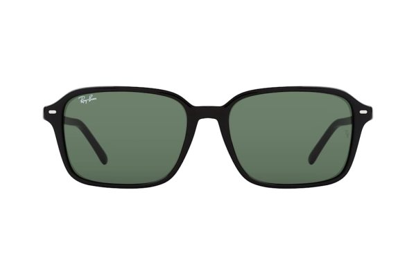 Sunglasses Ray-Ban Raimond RB2231-901-31 Black | Natural Green