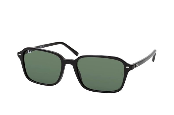 Sunglasses Ray-Ban Raimond RB2231-901-31 Black | Natural Green