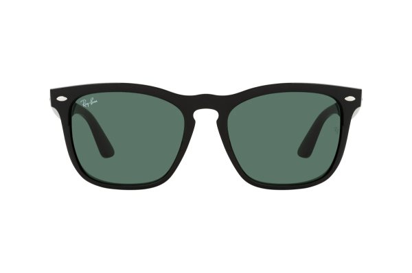   Ray-Ban Steve RB4487-6629-71 Black | Natural Green