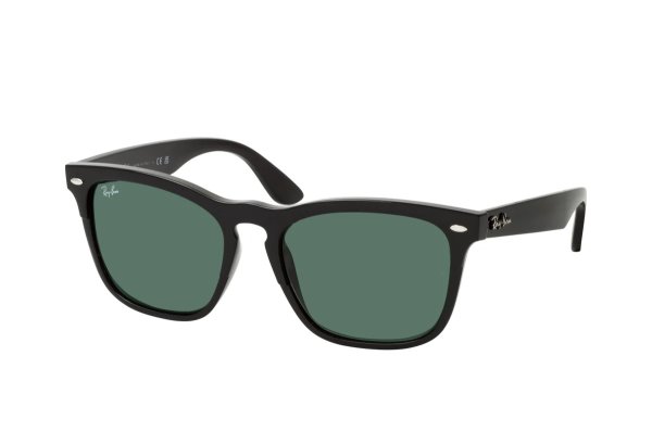   Ray-Ban Steve RB4487-6629-71 Black | Natural Green