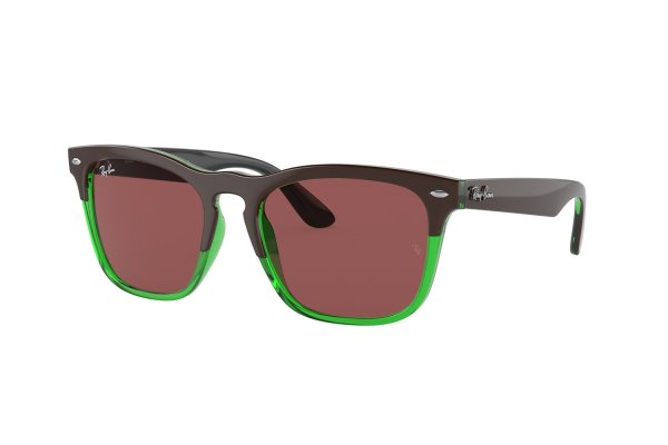   Ray-Ban Steve RB4487-6634-69 Brown / Green | Violet