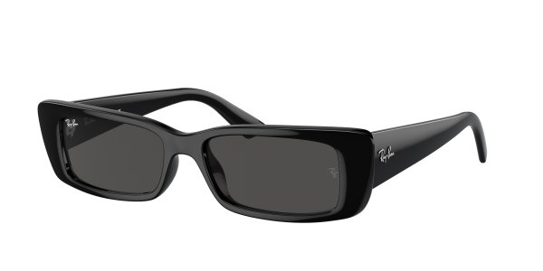   Ray-Ban Teru RB4425-6677-87 Black | Dark Grey