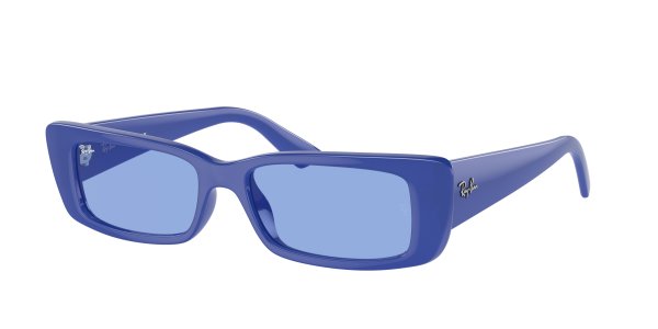   Ray-Ban Teru RB4425-6761-80 Blue | Dark Blue