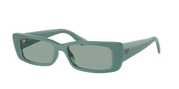   Ray-Ban Teru RB4425-6762-82 Green | Dark Green