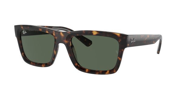   Ray-Ban Warren Bio Based RB4396-1359-71 Havana | Natural Green