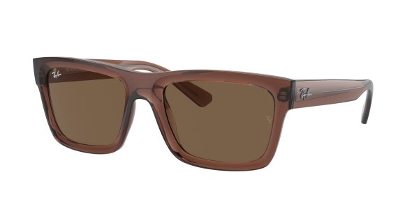   Ray-Ban Warren Bio Based RB4396-6678-73 Transparent Brown | Natural Brown