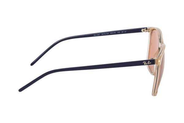   Ray-Ban Youngster Evolve RB4387-6573-Q4 Transparent Grey / Black | Light Brown