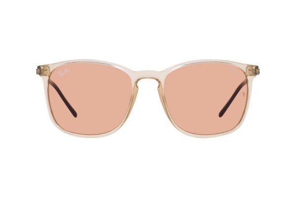   Ray-Ban Youngster Evolve RB4387-6573-Q4 Transparent Grey / Black | Light Brown