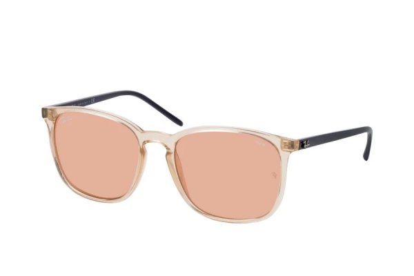   Ray-Ban Youngster Evolve RB4387-6573-Q4 Transparent Grey / Black | Light Brown