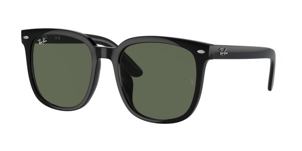   Ray-Ban Youngster RB4401D-601-71 Black | Natural Green