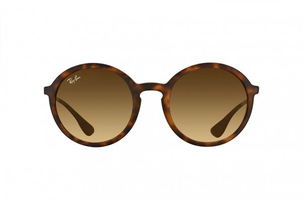   Ray-Ban Youngster Round RB4222-865-13 Havana/ Gunmetal  |  Brown Gradient