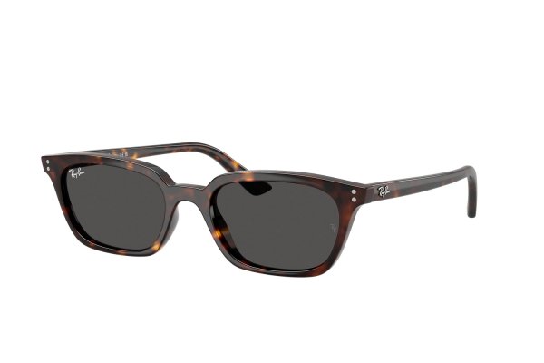   Ray-Ban Zaya Bio-Based RB4456-1359-87 Havana | Dark Grey