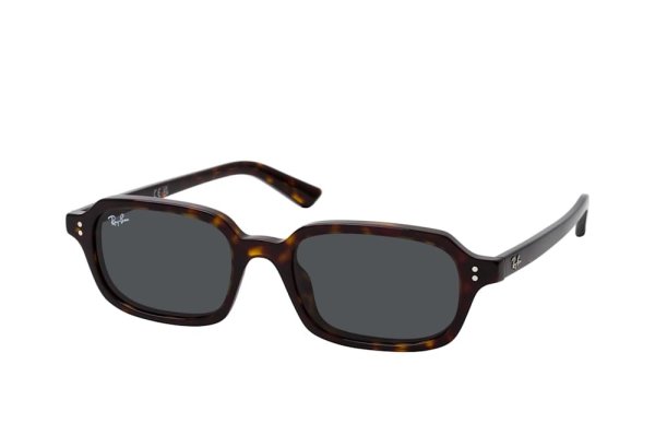   Ray-Ban Zuri Bio-Based RB4455-1359-87 Dark Brown | Dark Grey