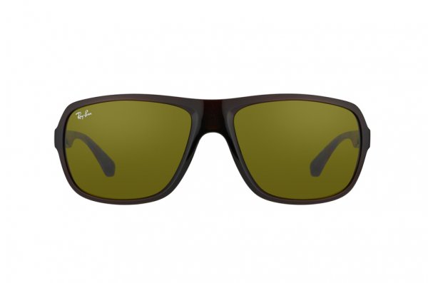   Ray-Ban Active Lifestyle RB4192-714-73 Brown Transparent | Brown