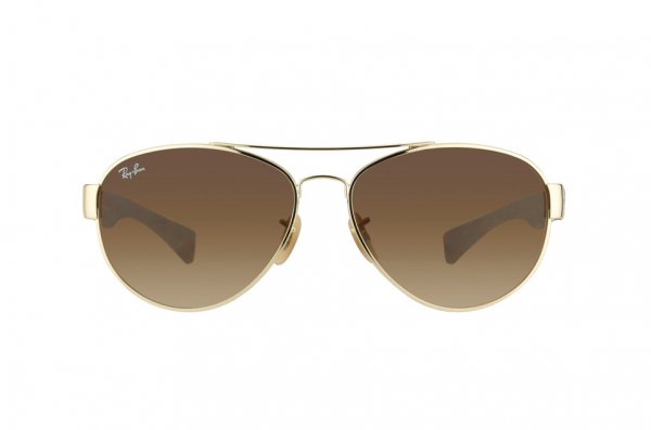   Ray-Ban Youngster RB3491-001-13 Arista/Havana | Brown Gradient