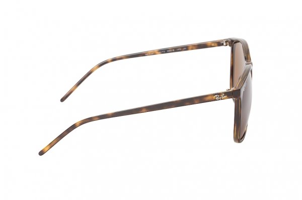   Ray-Ban Youngster RB4387-710-73 Havana | Brown